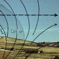 Optimal flow: Building open organizations where leaders can emerge