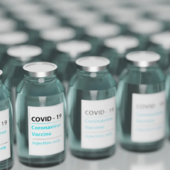 Relying on a Torrent Site for Vaccination Advice Is a Terrible Idea
