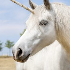 Latam Based Exchange Bitso Gets Unicorn Status After $250 Million Funding Round