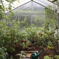 How I monitor my greenhouse with CircuitPython and open source tools