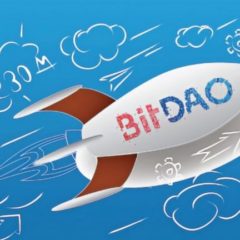 Bitdao Collects $230 Million in Private Capital From Investors