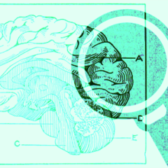 Accessibility in open source for people with ADHD, dyslexia, and Autism Spectrum Disorder