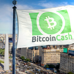 Bitcoin Cash Argentina Crowdfunds Circular Economy and Adoption Campaign
