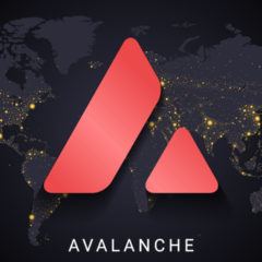 Avalanche Pulls Down $230 Million Investment Led by Polychain and Three Arrows Capital