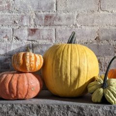 How I made an automated Jack-o’-lantern with a Raspberry Pi