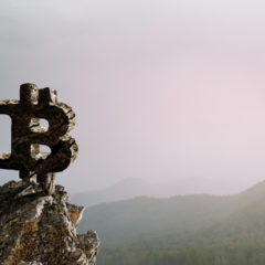 Microstrategy CEO Advises Nigeria and Zimbabwe to Adopt Bitcoin Standard, Says BTC Is ‘Kingmaker’