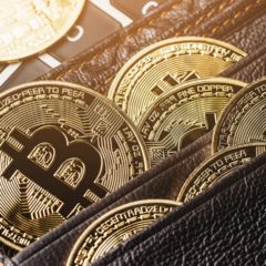 Finiko Fugitives Suspected of Moving 750 BTC From Crypto Pyramid’s Wallet