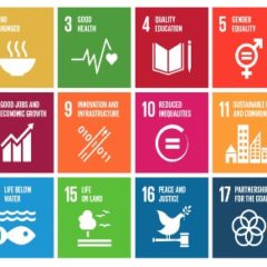 Open source powers the United Nations’ sustainability goals