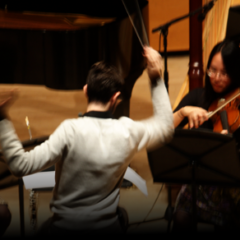 Play a digital orchestra with Linux Sampler