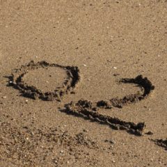 TorrentFreak’s 12 Most Read Articles of 2021