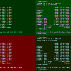 Record your terminal session with Asciinema