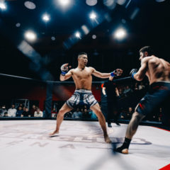 UFC Partners With Dapper Labs to Launch NFT Collection ‘UFC Strike’