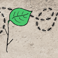 The National Science Foundation bets big on open source