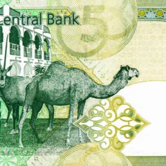 Qatar Central Bank Studying Digital Banks and CBDCs