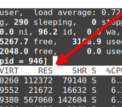 My favorite Linux top command options