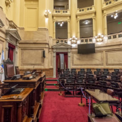 Argentinian Senate Passes Bill That Would Tax Assets Held in Foreign Countries,  Including Crypto