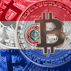 Chamber of Representatives in Paraguay Advances Crypto Bill