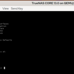 Use Terraform to manage TrueNAS