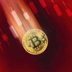 Survey: Investors Expect Bitcoin’s Price to Fall to $10,000