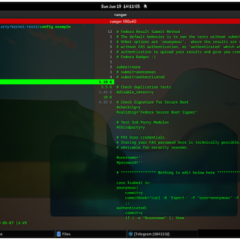 Manage your files in your Linux terminal with ranger