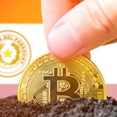 Bitcoin Miner Pow.re Begins Mining Facility Construction in Paraguay, Acquires 3,600 Microbt ASICs