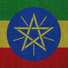 Ethiopia Orders Banks to Reject Requests for Foreign Exchange to Buy ‘Non-Priority Products’