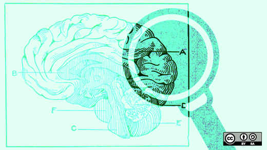 a magnifying glass looking at a brain illustration a magnifying glass looking at a brain illustration