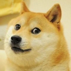 Twitter Changes Bird Logo to Picture of Doge, Dogecoin Price Surges 23% After the Change