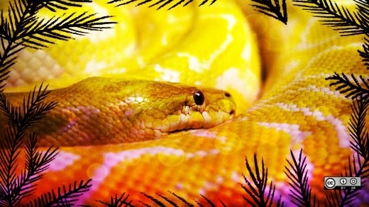 Real python in the graphic jungle