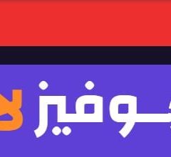 Egyptian Authorities Shut Down Movizland and Arrest Operator