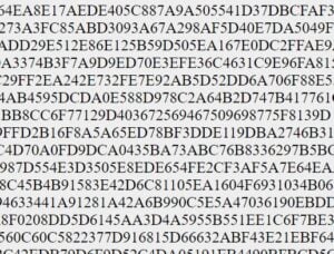 hashes