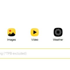 Yandex Yanked The Pirate Bay From its Search Results?