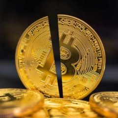 JPMorgan Expects Bitcoin Price to Drop to $42K After Halving
