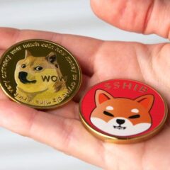 Study: Crypto Market Participants Favor Meme Coins, Shun High-FDV Projects