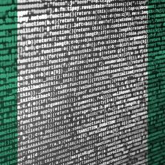 Nigeria Considers Domestic Blockchain for Data Security