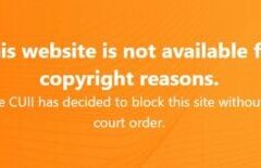 17-Year-old Student Exposes Germany’s ‘Secret’ Pirate Site Blocklist
