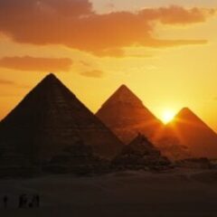 ACE Helps Egypt to Dismantle the Region’s Largest Piracy Site