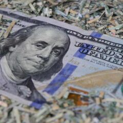 Peter Schiff Warns Bitcoin Could Be US Dollar’s Ultimate Downfall