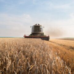 Tether Completes $615 Million Purchase of Latam Agricultural Giant Adecoagro