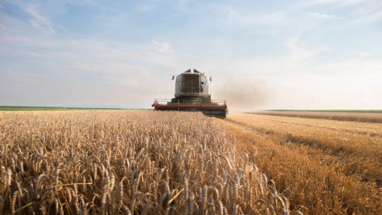 Tether Completes $615 Million Purchase of Latam Agricultural Giant Adecoagro