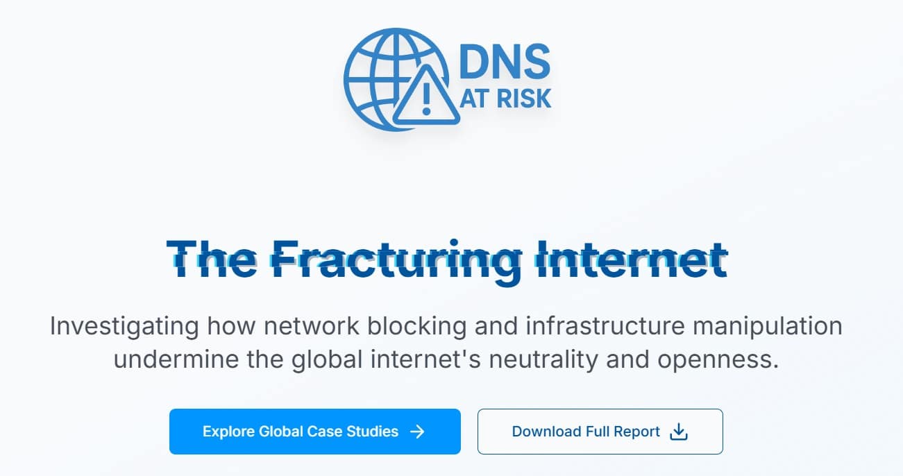 dns at risk