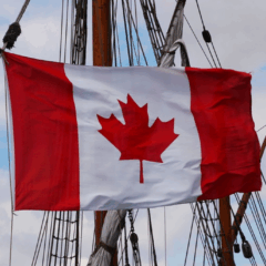 Canadian Court Rejects Reverse Class Action Lawsuit Against BitTorrent Pirates