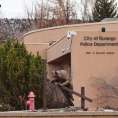 Dating-App Deception Leads to $1.4M Crypto Loss — Colorado Bureau of Investigation Sounds Alarm