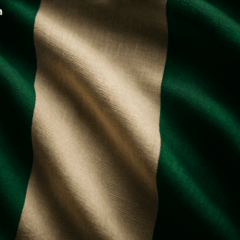 Nigeria Forms Working Group to Explore Stablecoin Adoption