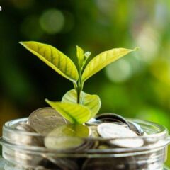 Bitcoin ETFs See Modest Inflows as Solana Stays Hot