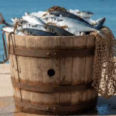 EUIPO Study: Major Brand Ads on Pirate Sites Surged 567%