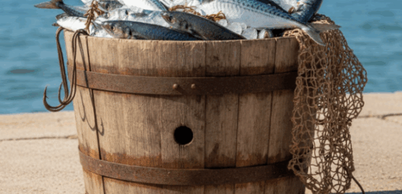 EUIPO Study: Major Brand Ads on Pirate Sites Surged 567%