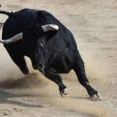 Fundstrat’s Tom Lee Disregards Crypto Market Weakness: Pain Is ‘Short Term’