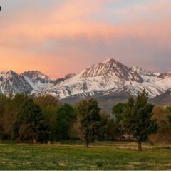 Avalanche’s RWA Ecosystem Strengthened: Liquidity Yield Token Offers Risk-Adjusted Returns with Zero Lockups