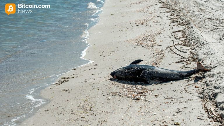 Aqua Wallet Suspends Dolphin Card Program After Provider Issue